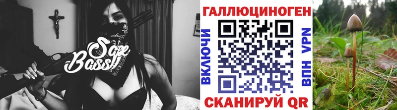 Псилоцибиновые грибы MAGIC MUSHROOMS  где найти   Сосновка 